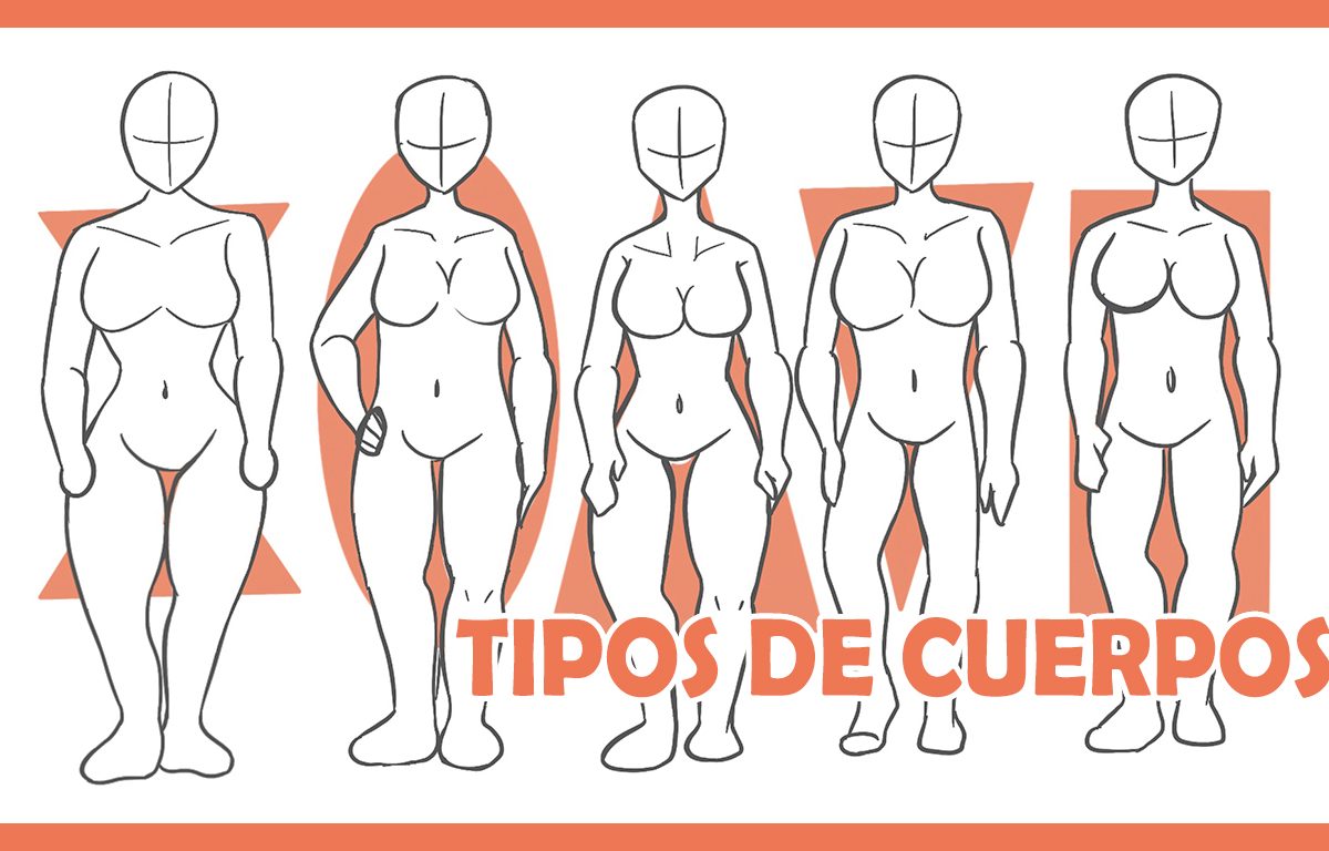 🔥 Cómo DIBUJAR DISTINTOS tipos de CUERPOS | Anatomía mujer 🔥