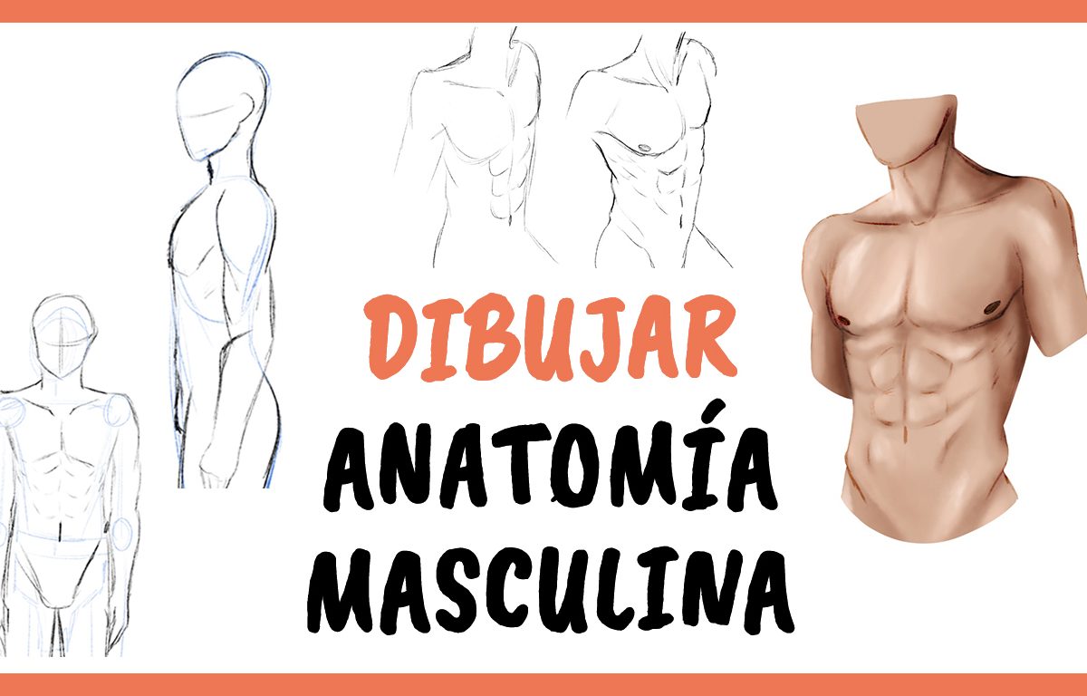 Cómo DIBUJAR el CUERPO HUMANO paso a paso fácil | Cuerpo masculino ⭐